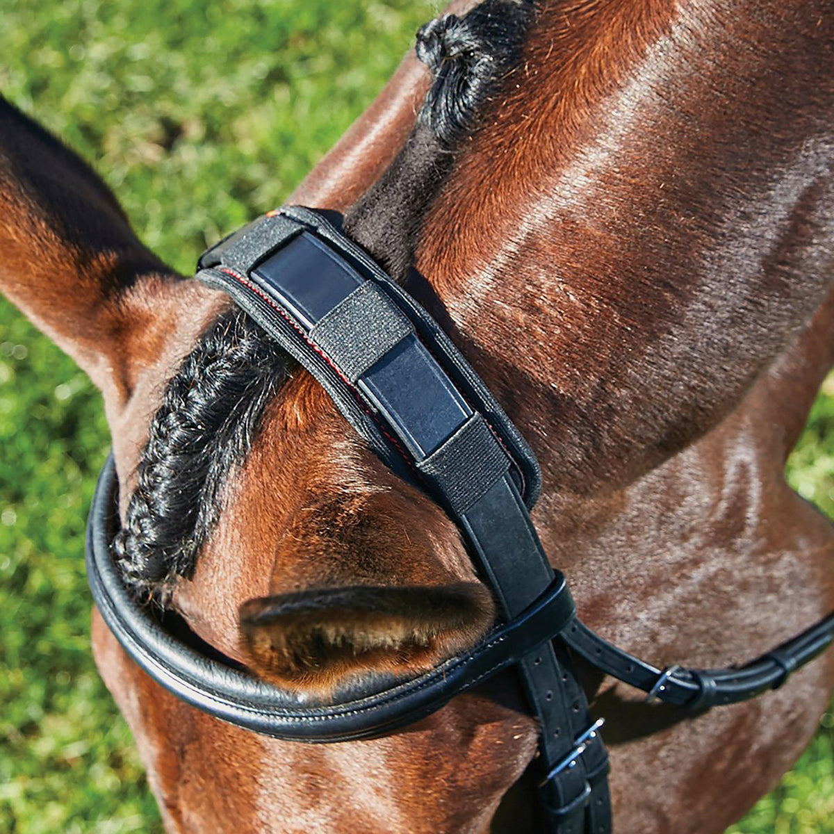 Therapy-Tec Poll Pad Black