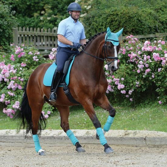 Prime Dressage Saddle Pad Turquoise