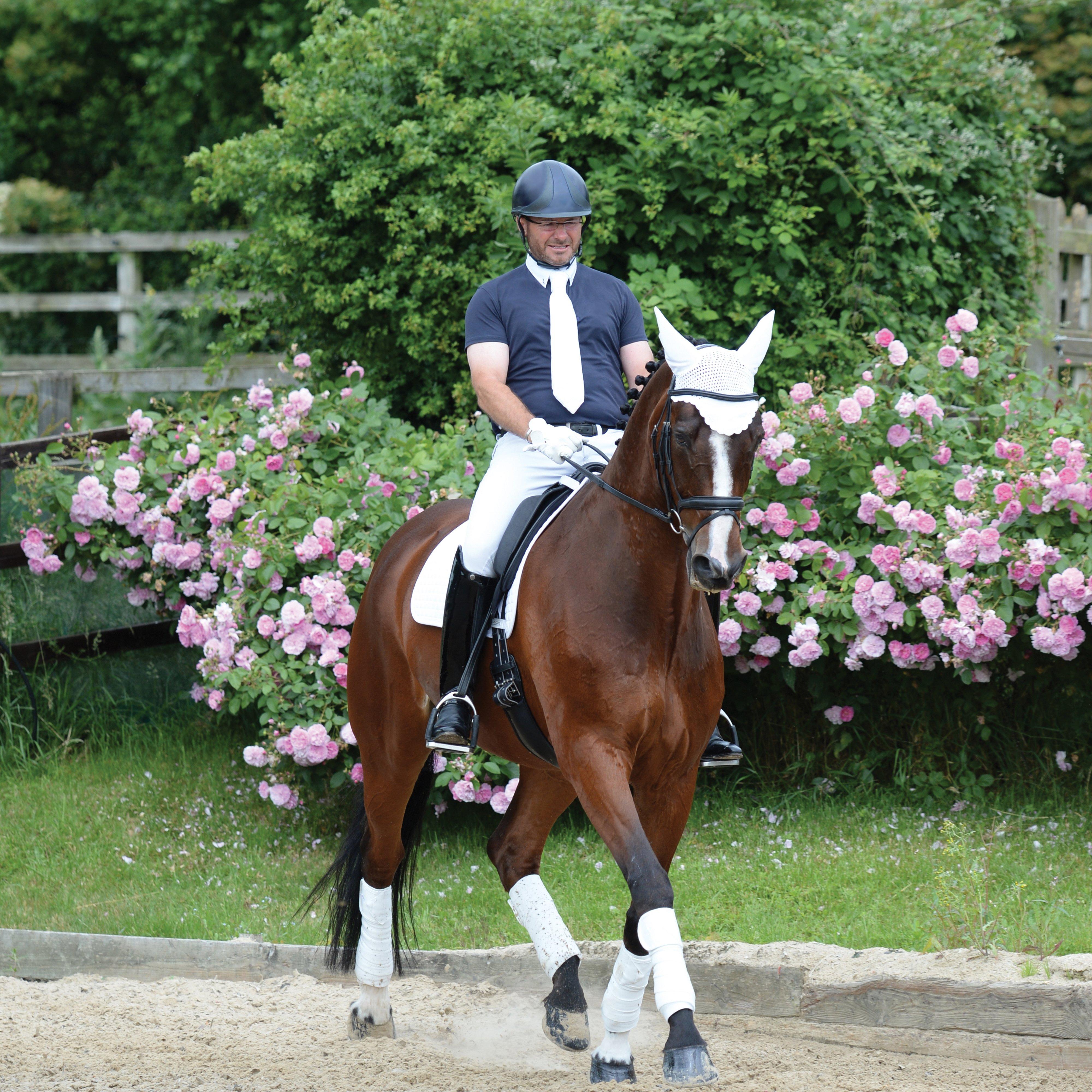 Prime Dressage Saddle Pad White