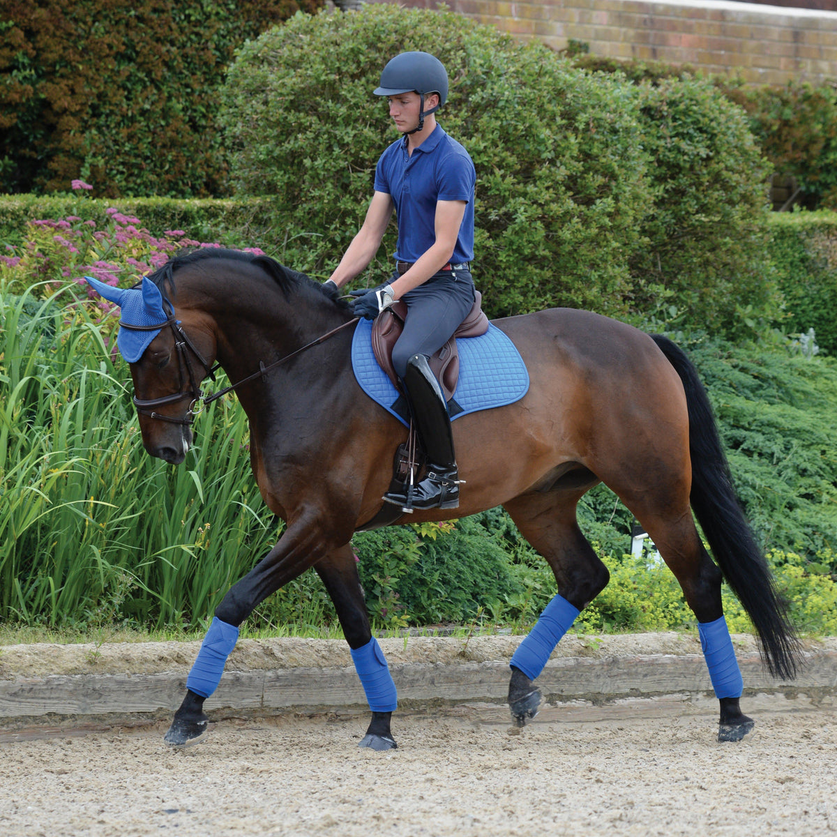 Prime Jump Saddle Pad Royal Blue