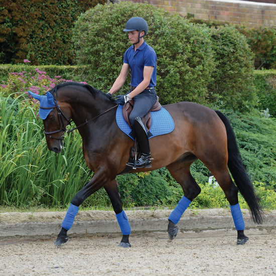 Prime Jump Saddle Pad Royal Blue