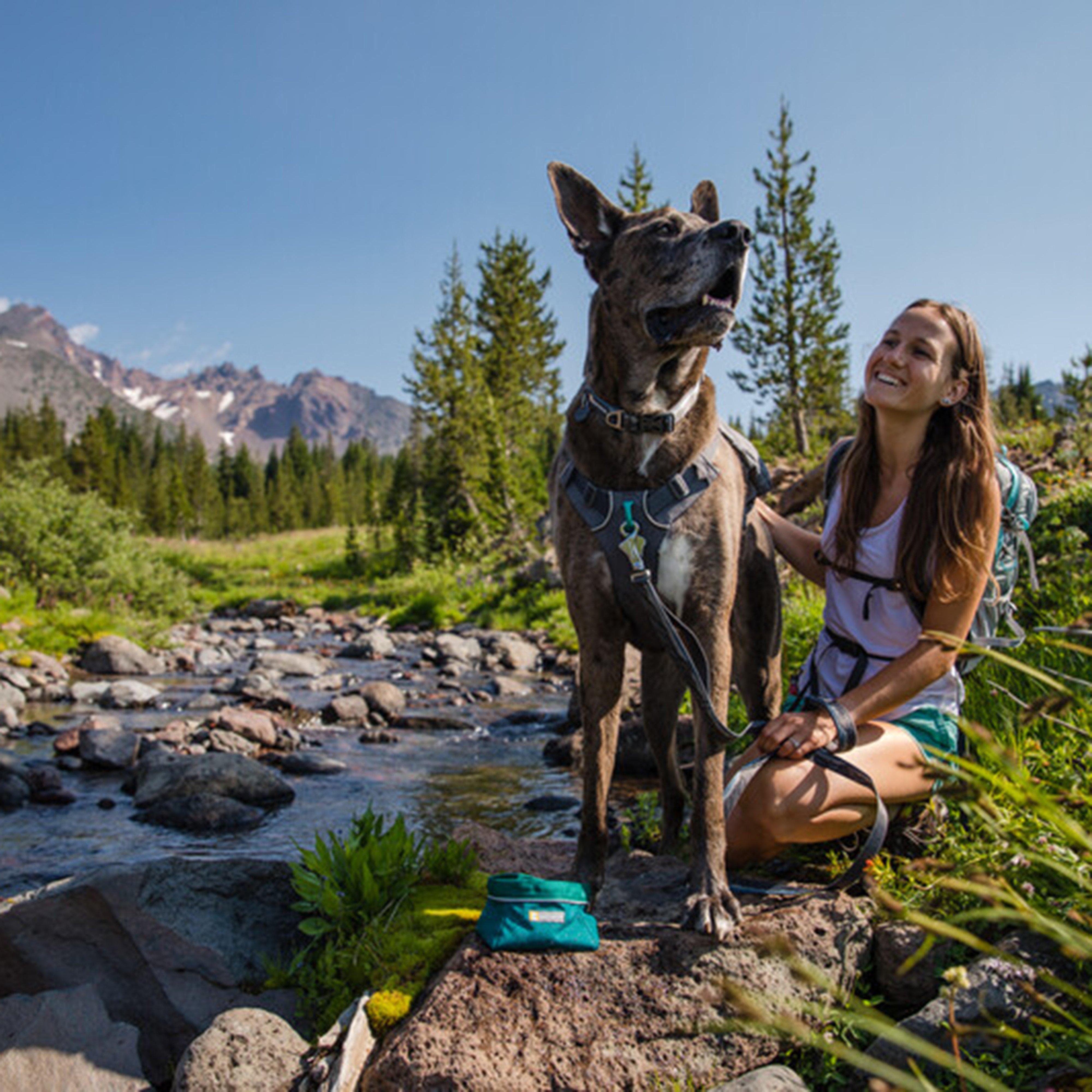 Flat Out Collar Rocks