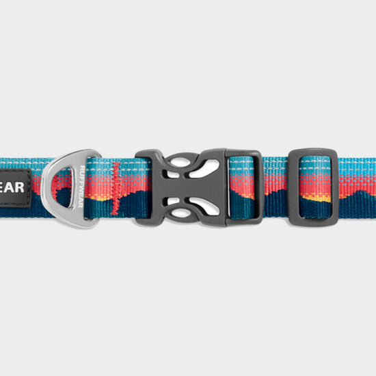 Crag Reflective Dog Collar Sun