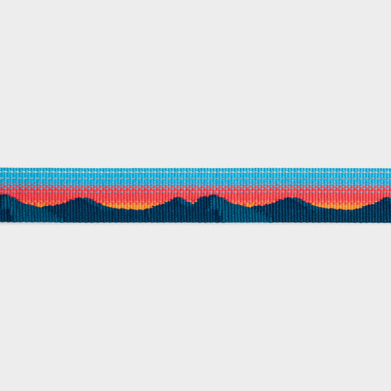 Crag Reflective Dog Collar Sun