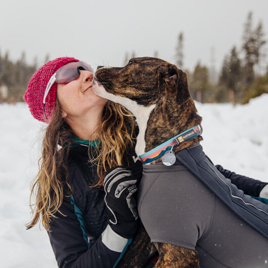 Crag Reflective Dog Collar Sun