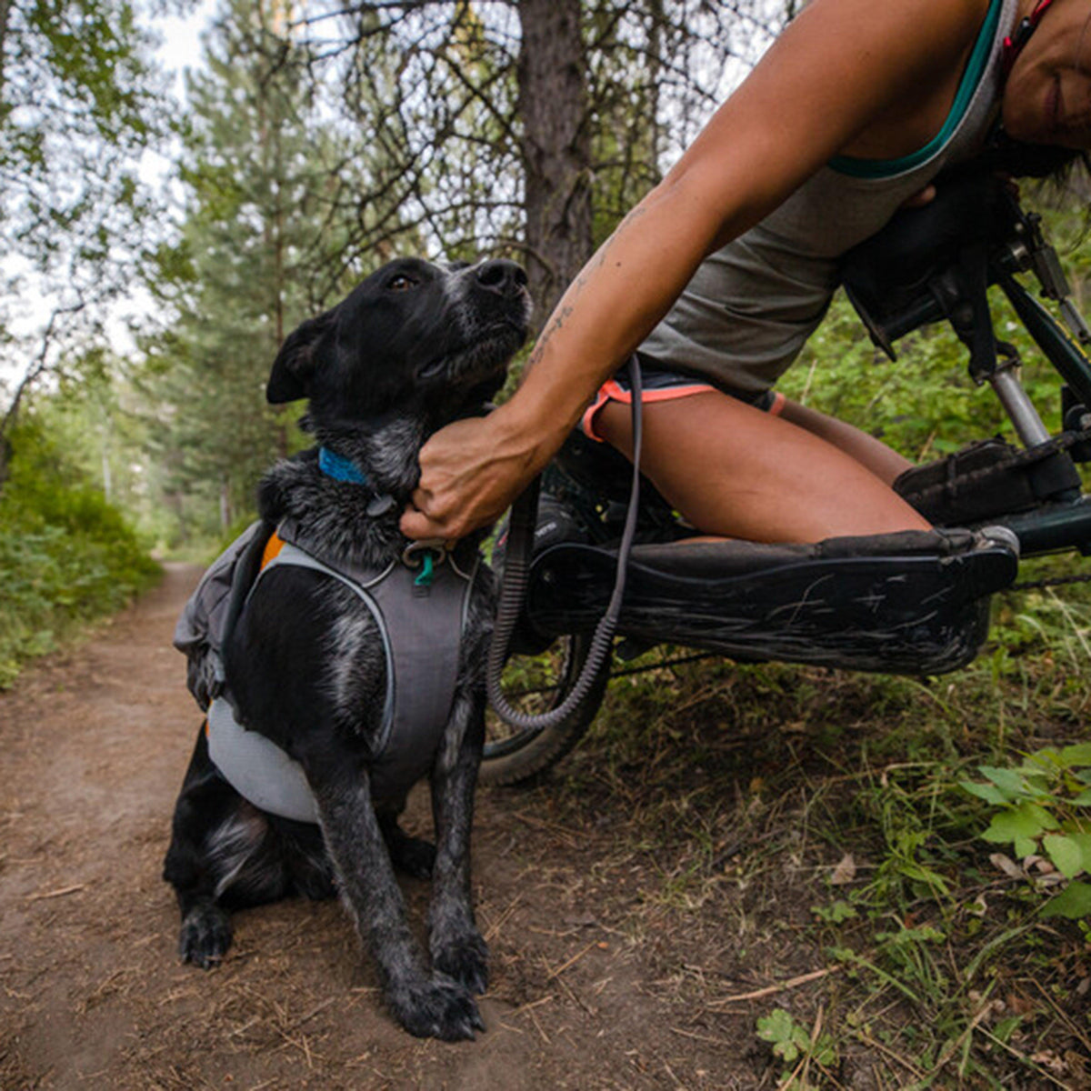 Roamer Bungee Dog Running Lead Granite Grey