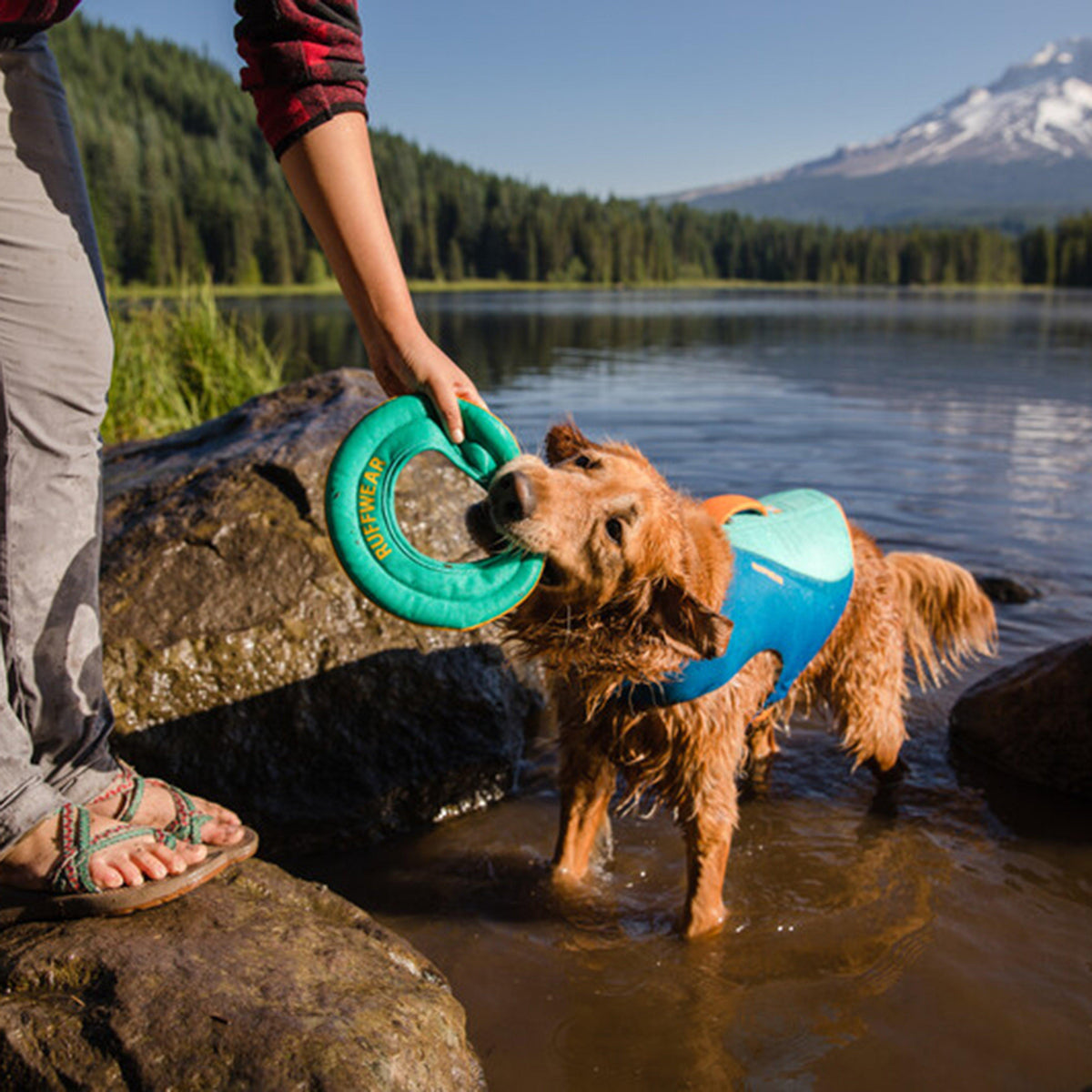 Hydro Plane Floating Throw Dog Toy Teal Large