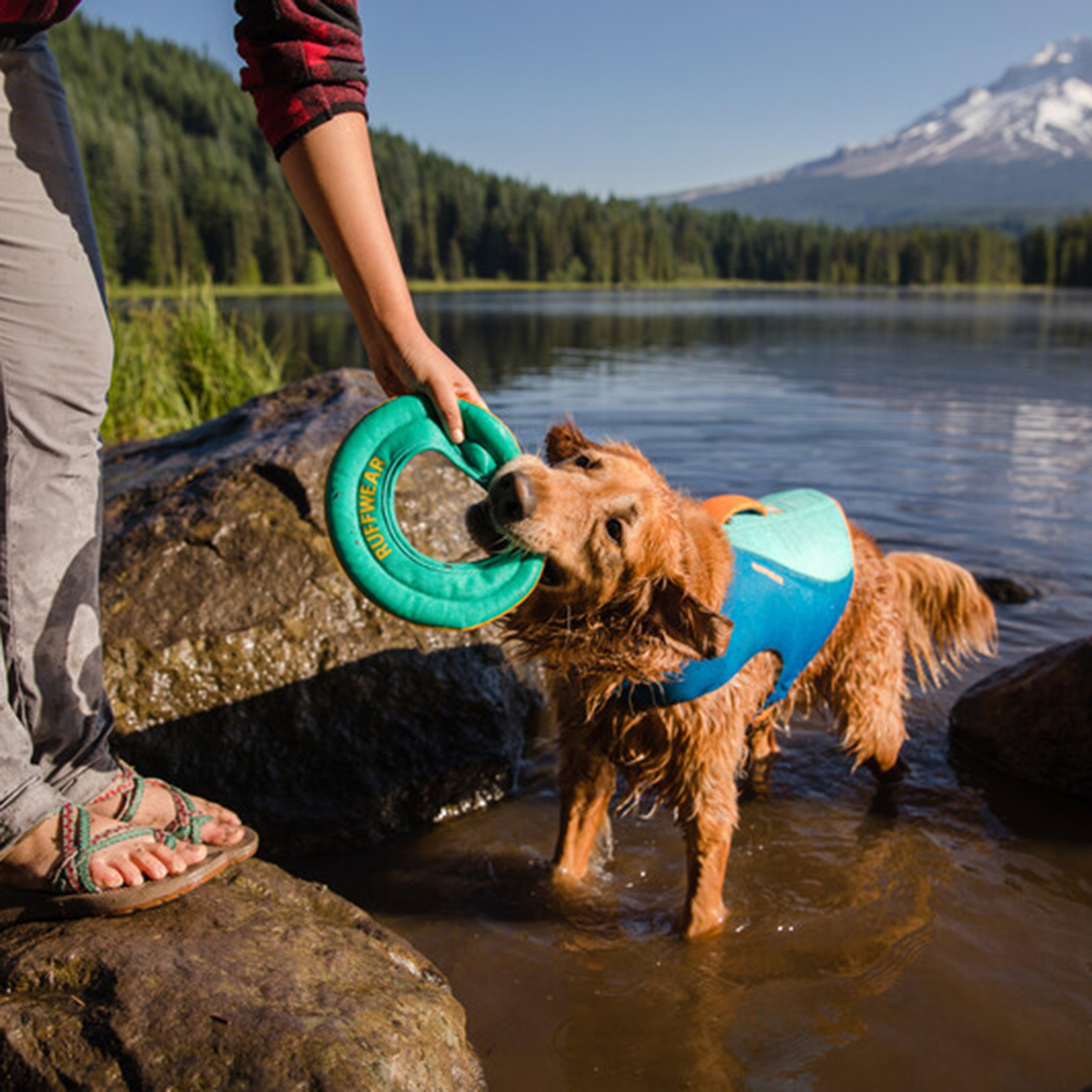 Hydro Plane Floating Throw Dog Toy Teal Large