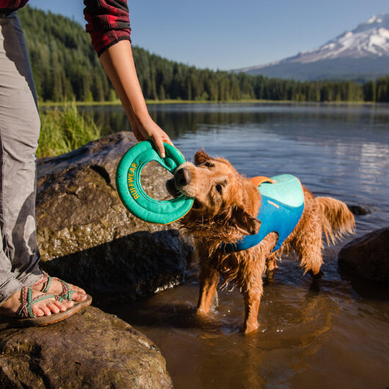 Hydro Plane Floating Throw Dog Toy Teal Large