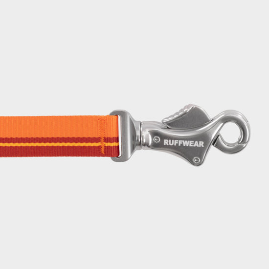 Flat Out Adjustable Dog Lead Orange