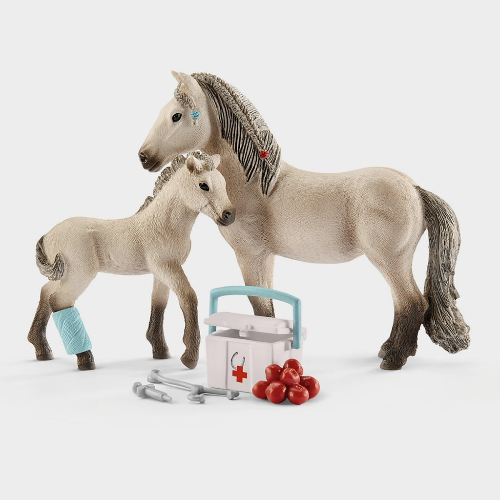 First Aid & Icelandic Pony Mare