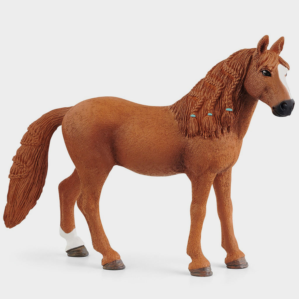 German Riding Pony Mare