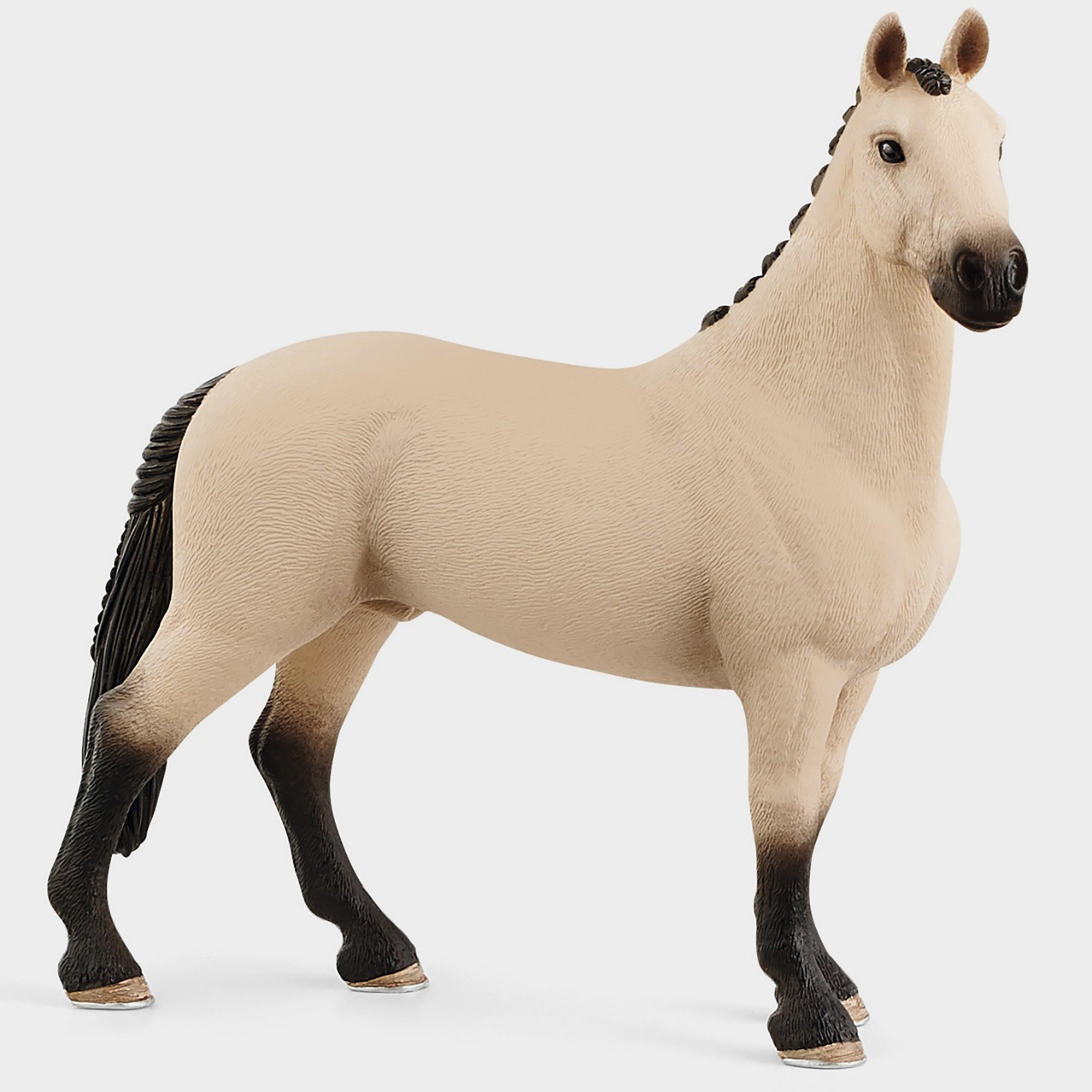 Hannoverian Gelding 2021