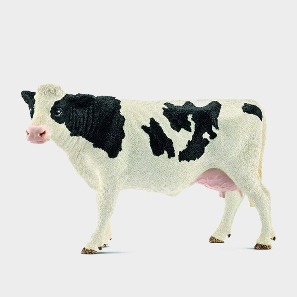 Holstein Cow