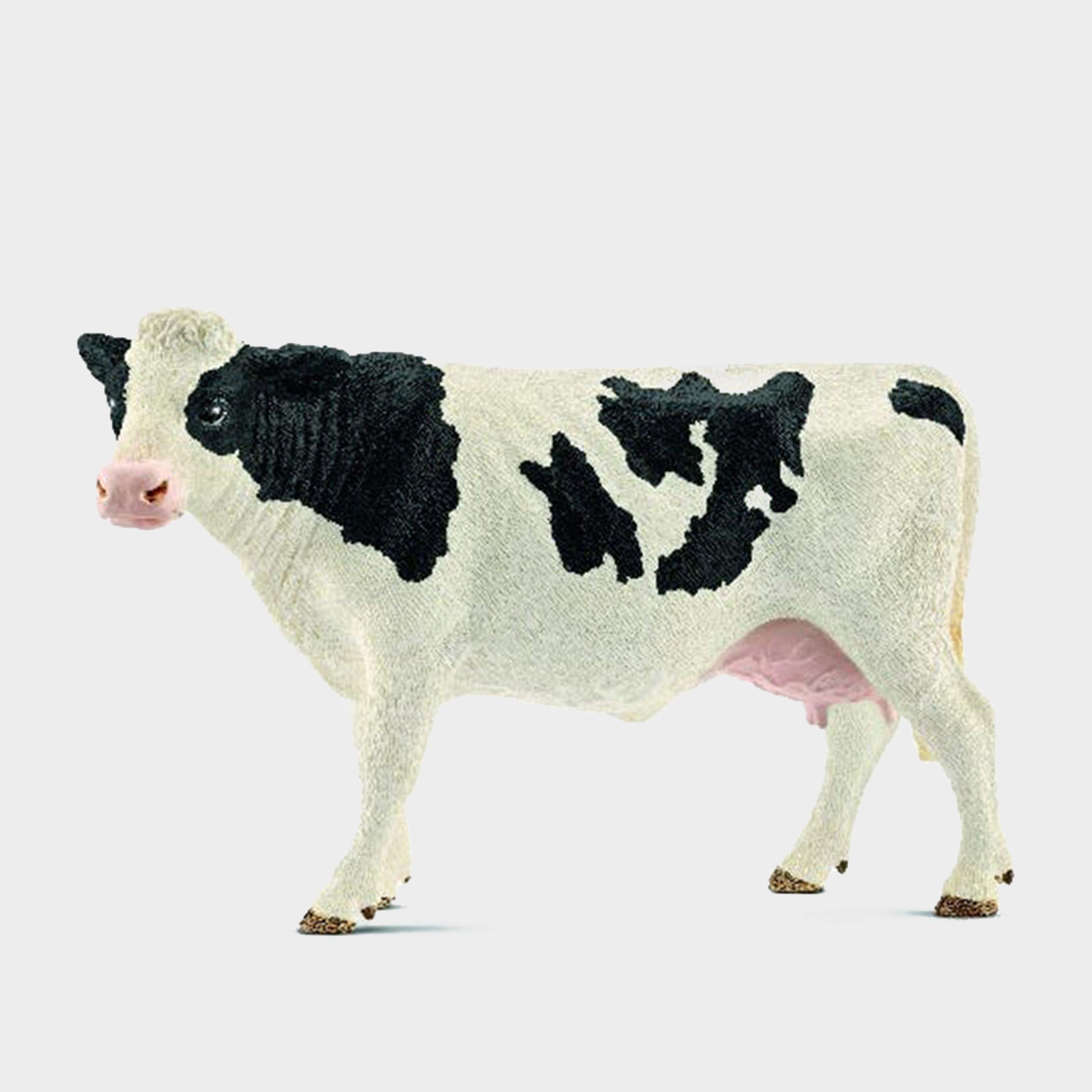 Holstein Cow