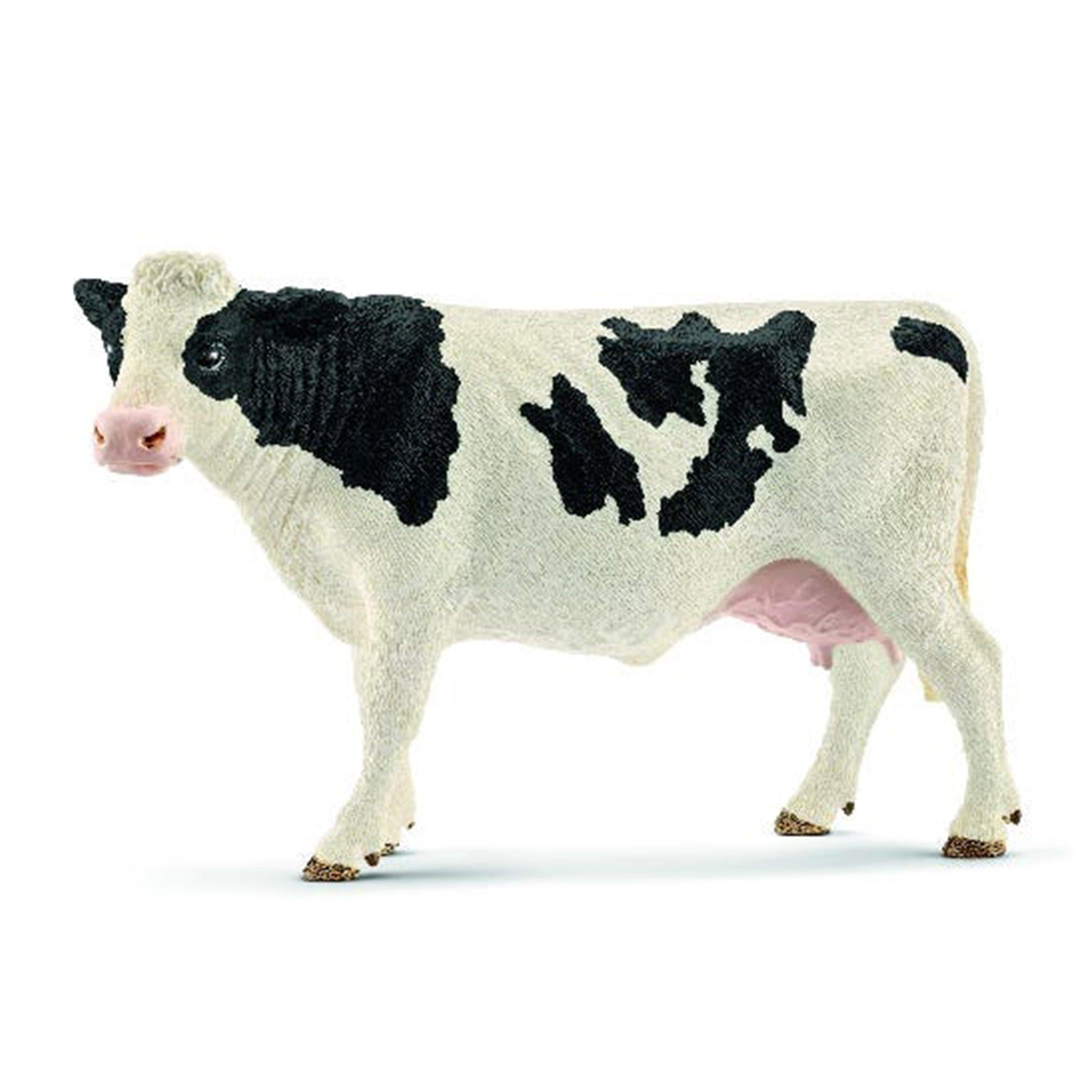 Holstein Cow