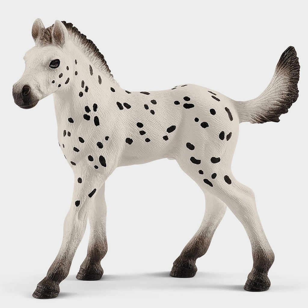 Knapstrupper Foal