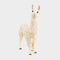 Llama