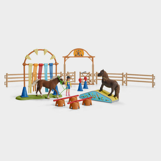 Pony Agility Training