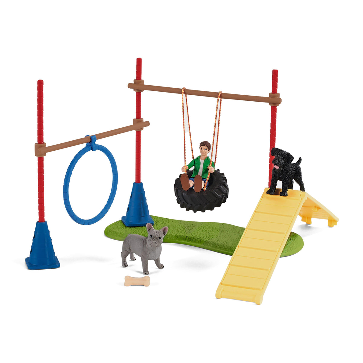 Puppy Agility Training