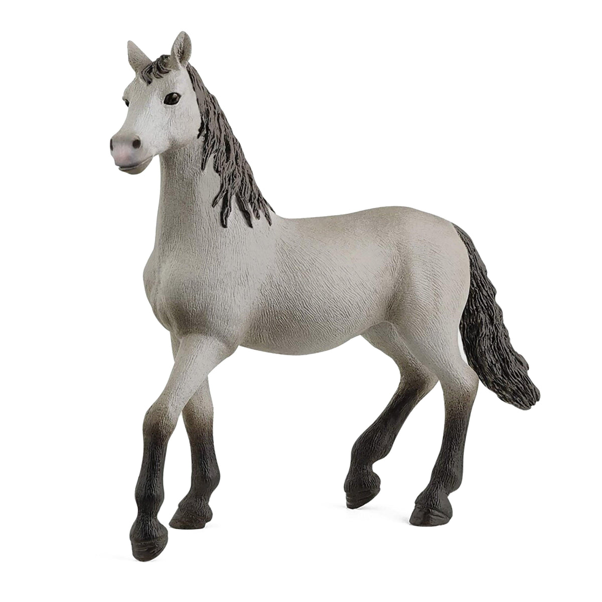 Pura Raza Española Yearling