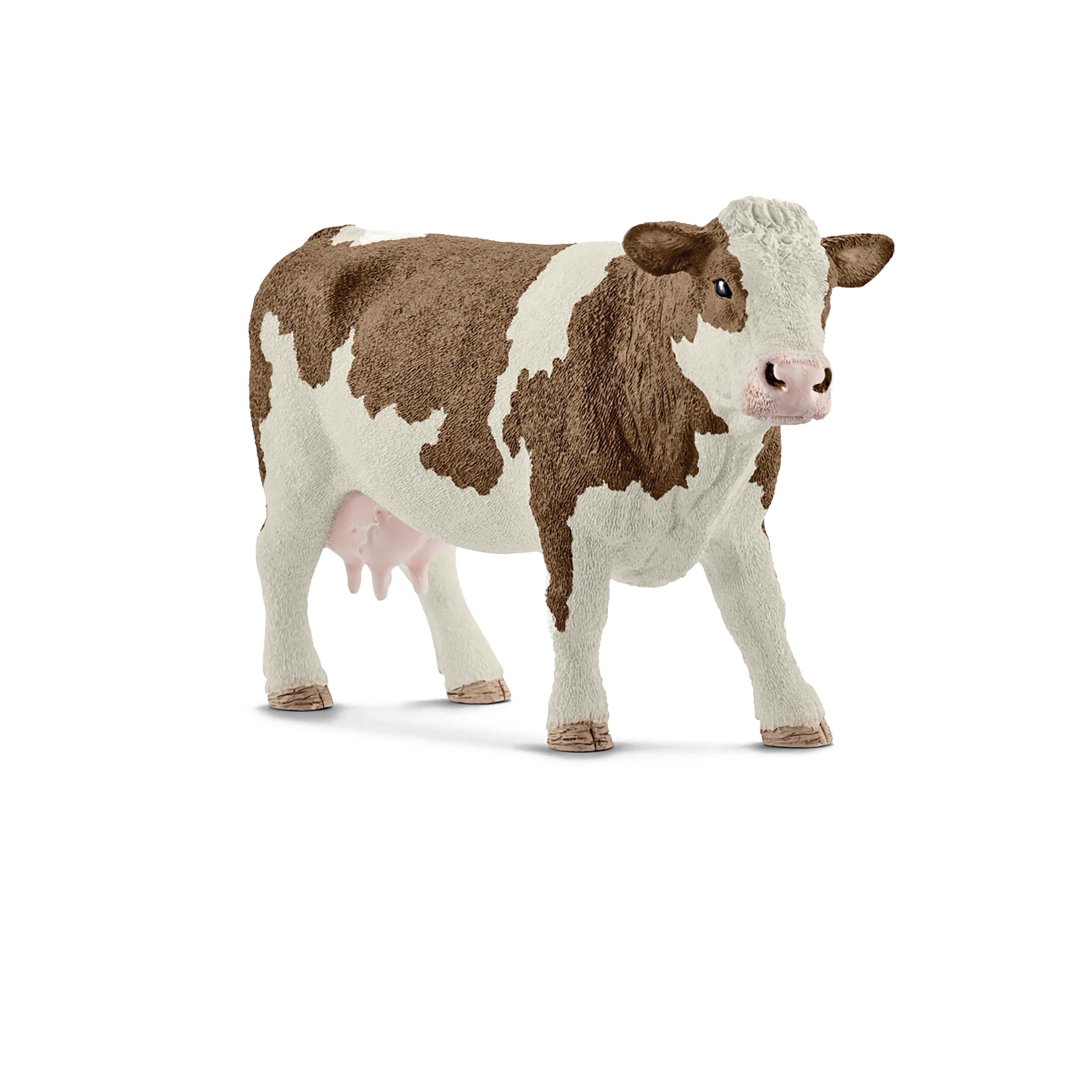 Simmental Cow