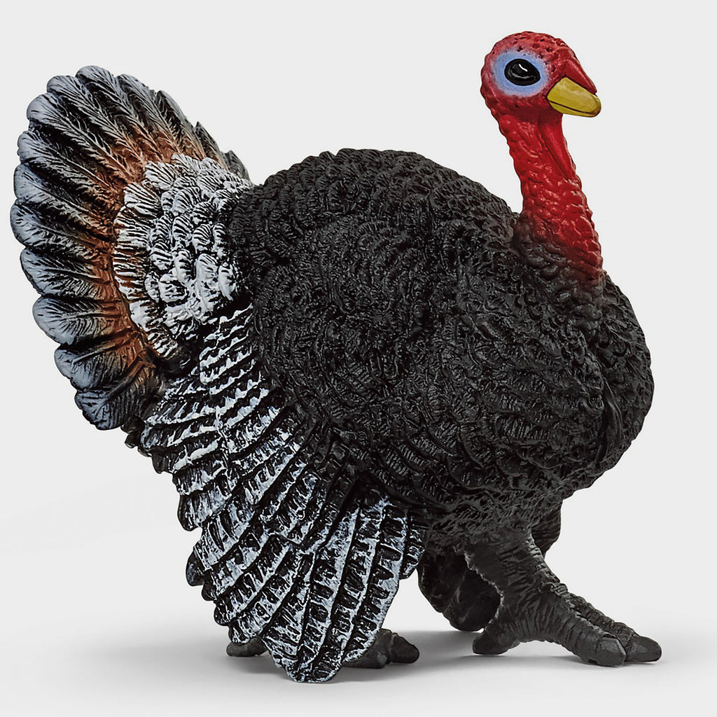 Turkey