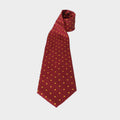 Adults Polka Dot Show Tie Burgundy/Gold