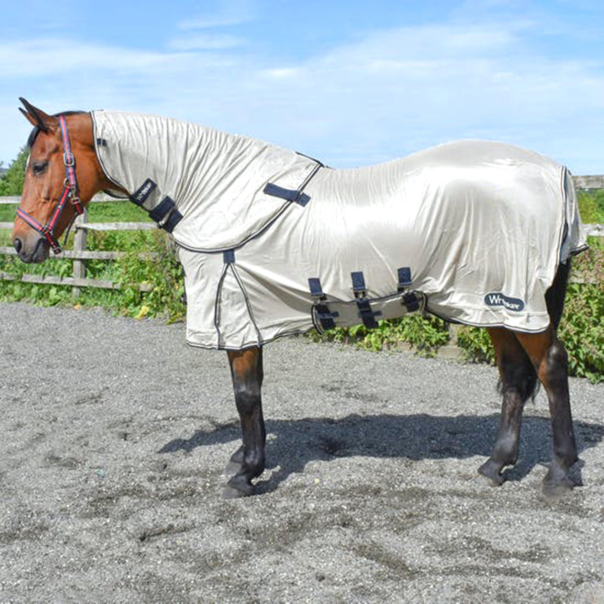 Airton Fly Rug Oyster