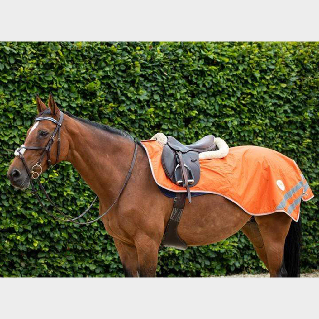 Mesh Exercise Sheet Orange