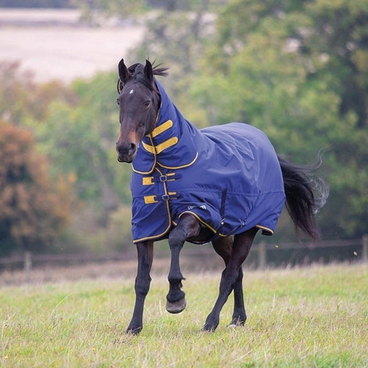 Tempest Original 300g Heavyweight Combo Neck Turnout Rug Navy