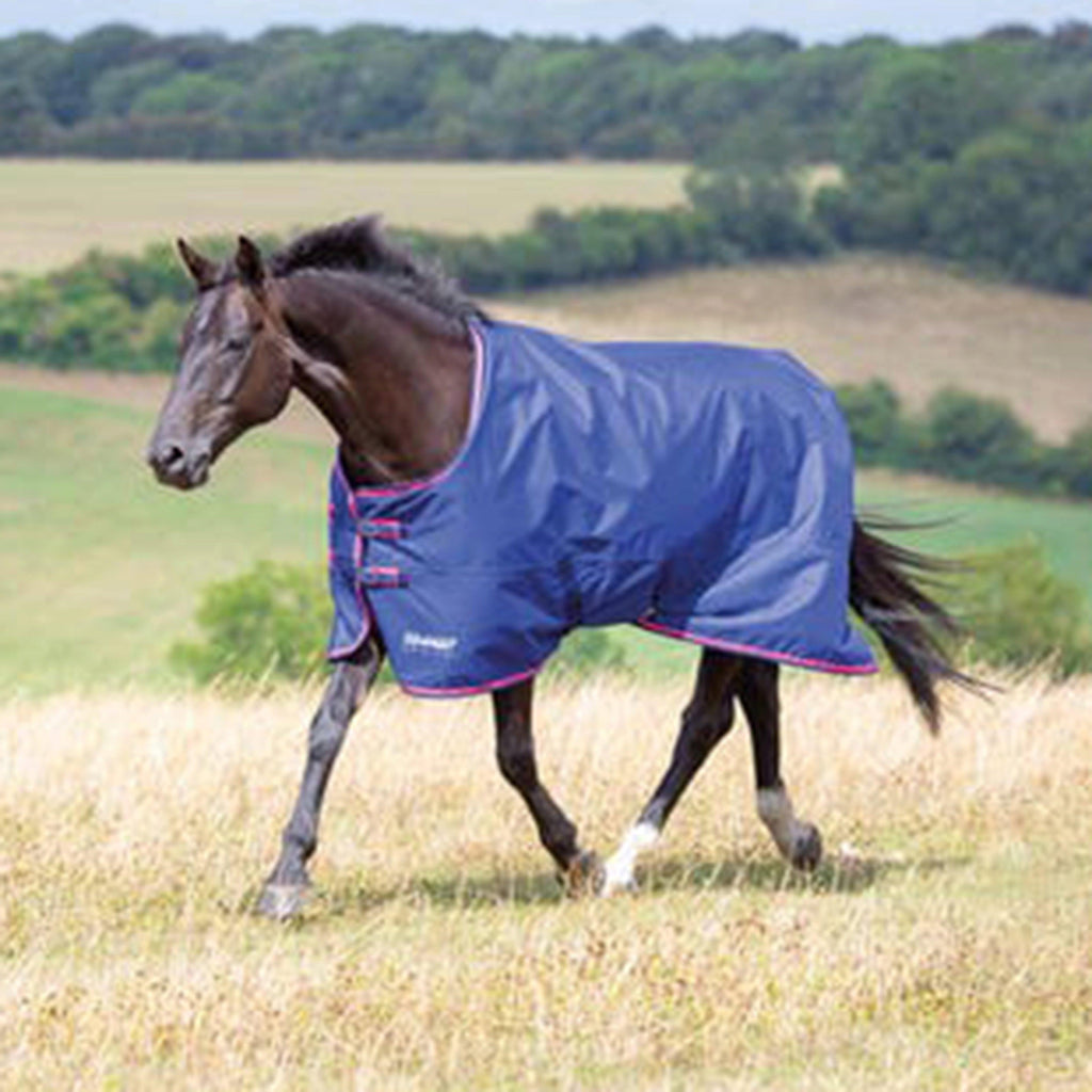 Tempest Original 100g Lightweight Standard Neck Turnout Rug Purple Lightning