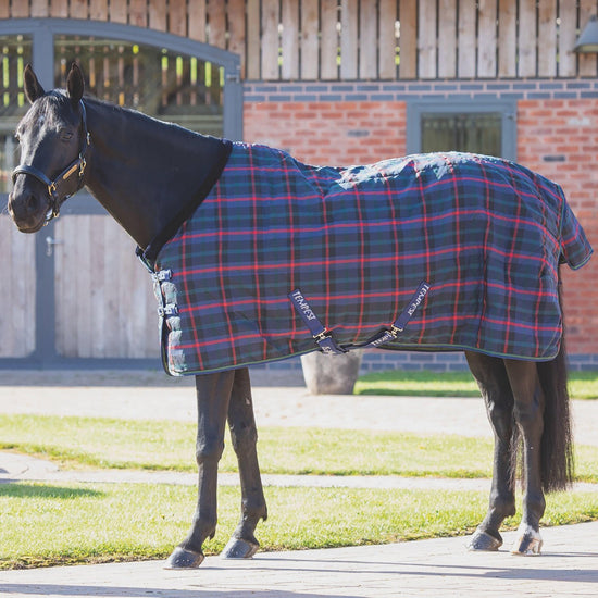 Tempest Plus 100g Lightweight Standard Neck Stable Rug Green Check