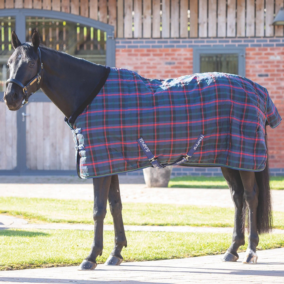 Tempest Plus 100g Lightweight Standard Neck Stable Rug Green Check