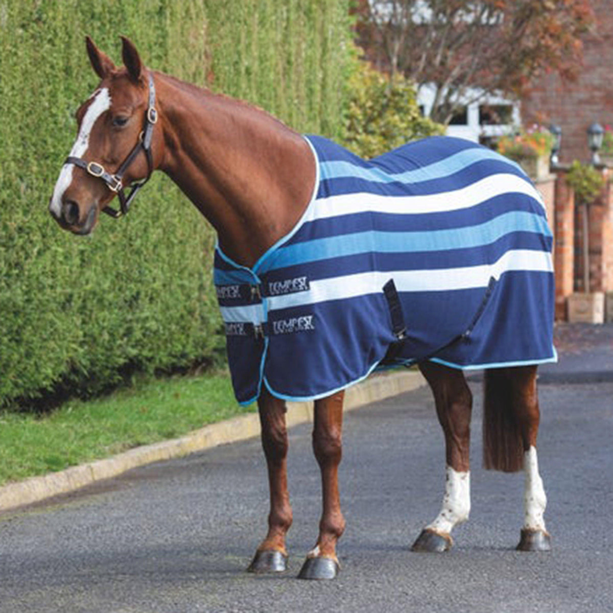 Tempest Original Newmarket Fleece Rug Blue Stripe