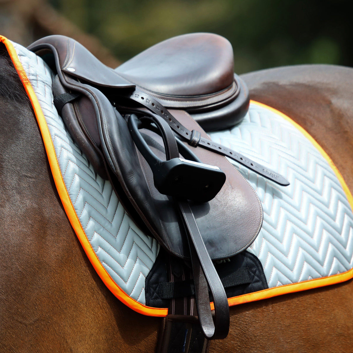 Saddle Pad Orange