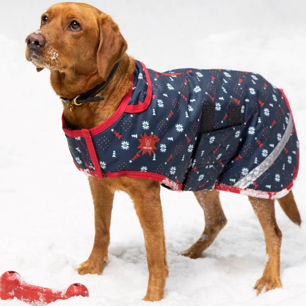 Christmas Dog Coat Navy