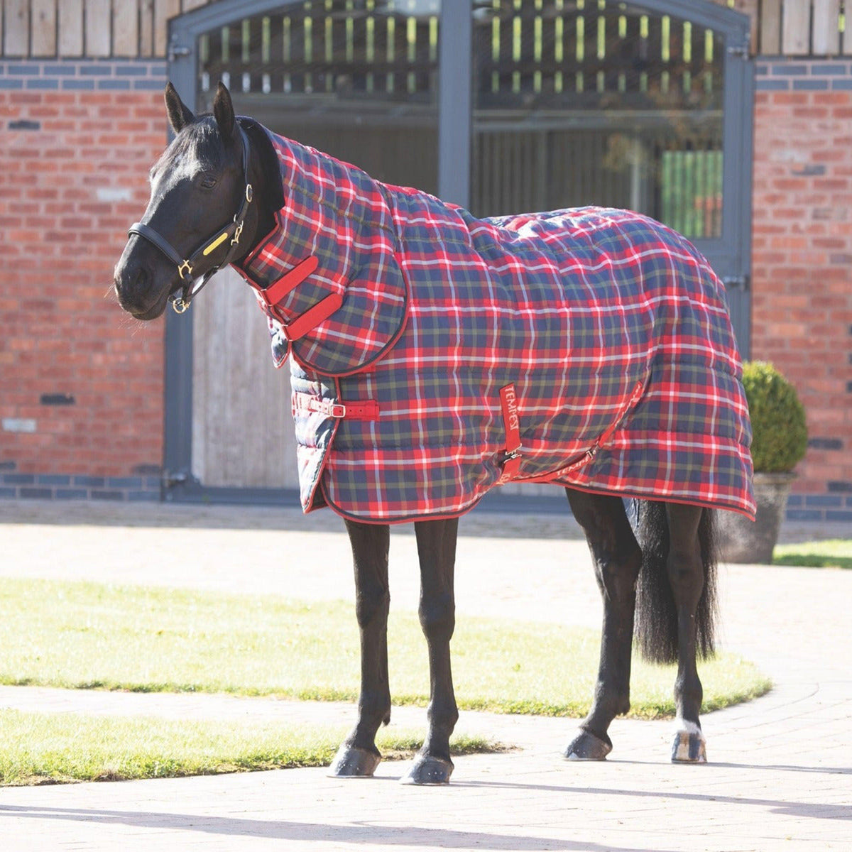 Tempest Plus 200g Medium Weight Combo Neck Stable Rug Red Check