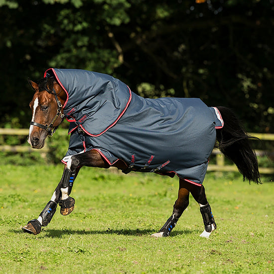 Amigo Bravo 12 Plus Medium Weight Detach-A-Neck Turnout Rug Grey/Red