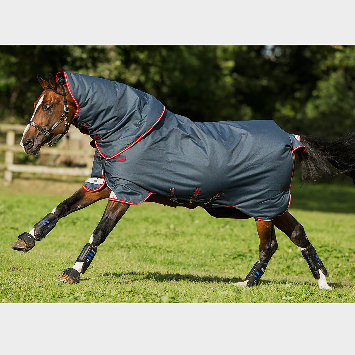 Amigo Bravo 12 Plus Medium Weight Detach-A-Neck Turnout Rug Grey/Red