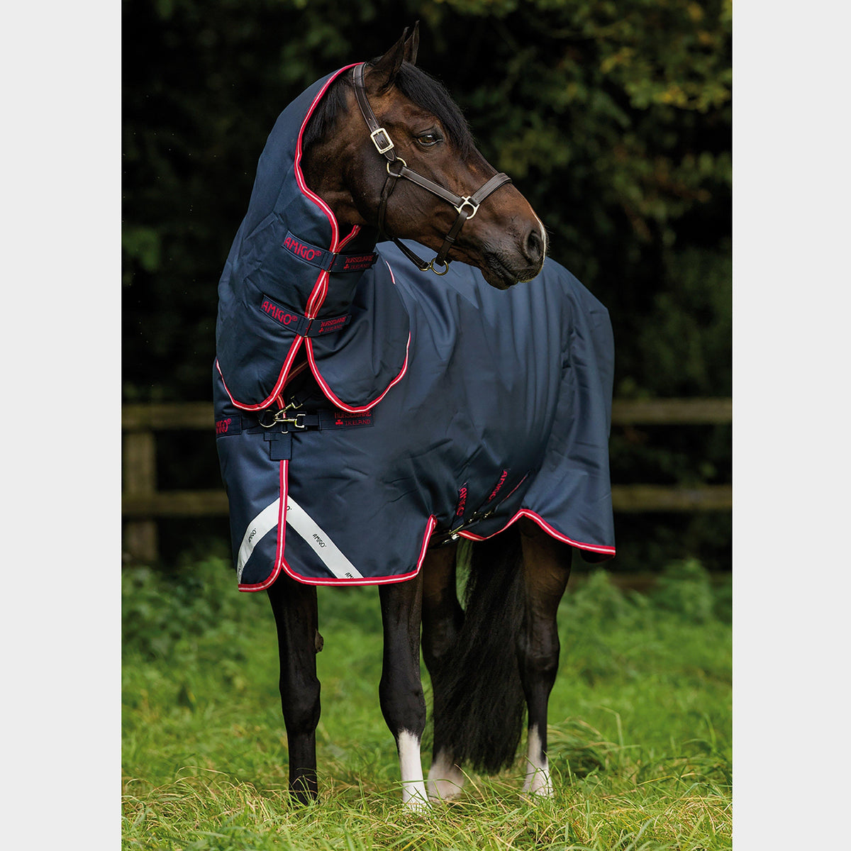 Amigo Bravo 12 Plus Medium Weight Detach-A-Neck Turnout Rug Grey/Red