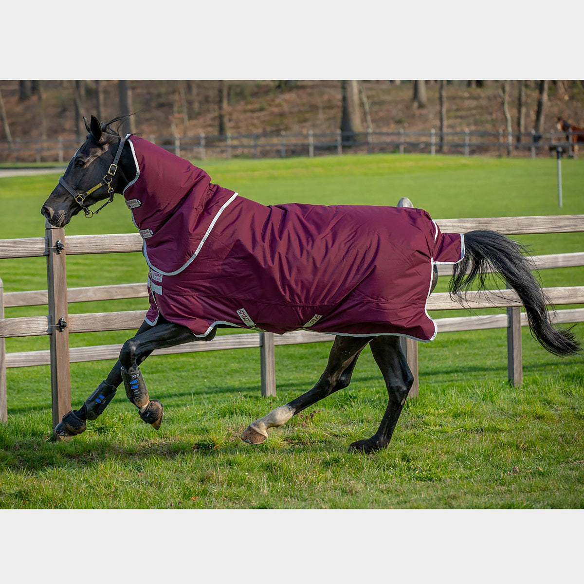Amigo® Hero Ripstop Plus 200g Mediumweight Turnout Rug With Detachable Neck Burgundy/Silver