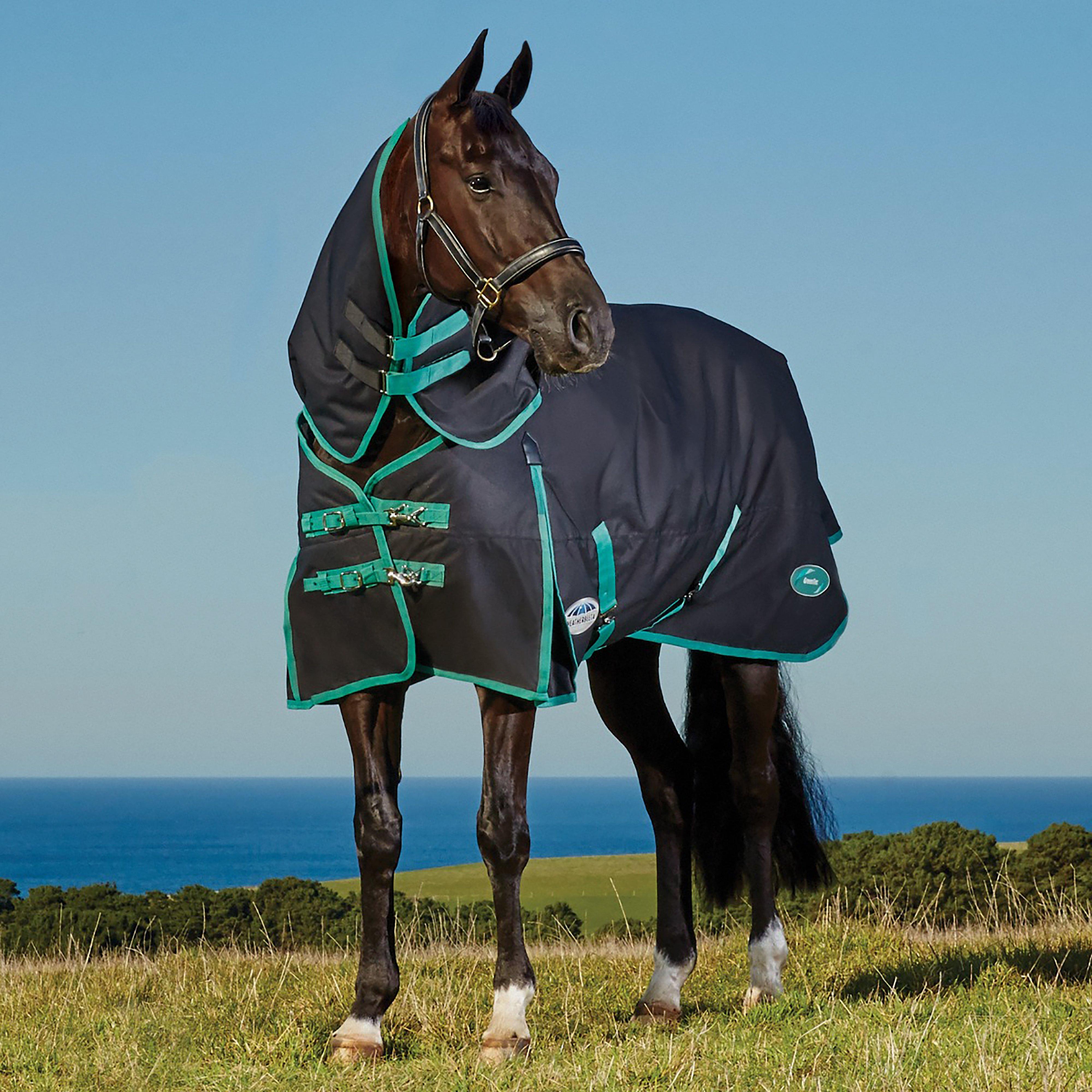 Green-Tec 900D 220g Medium Weight Detach-A-Neck Turnout Rug Black/Bottle Green