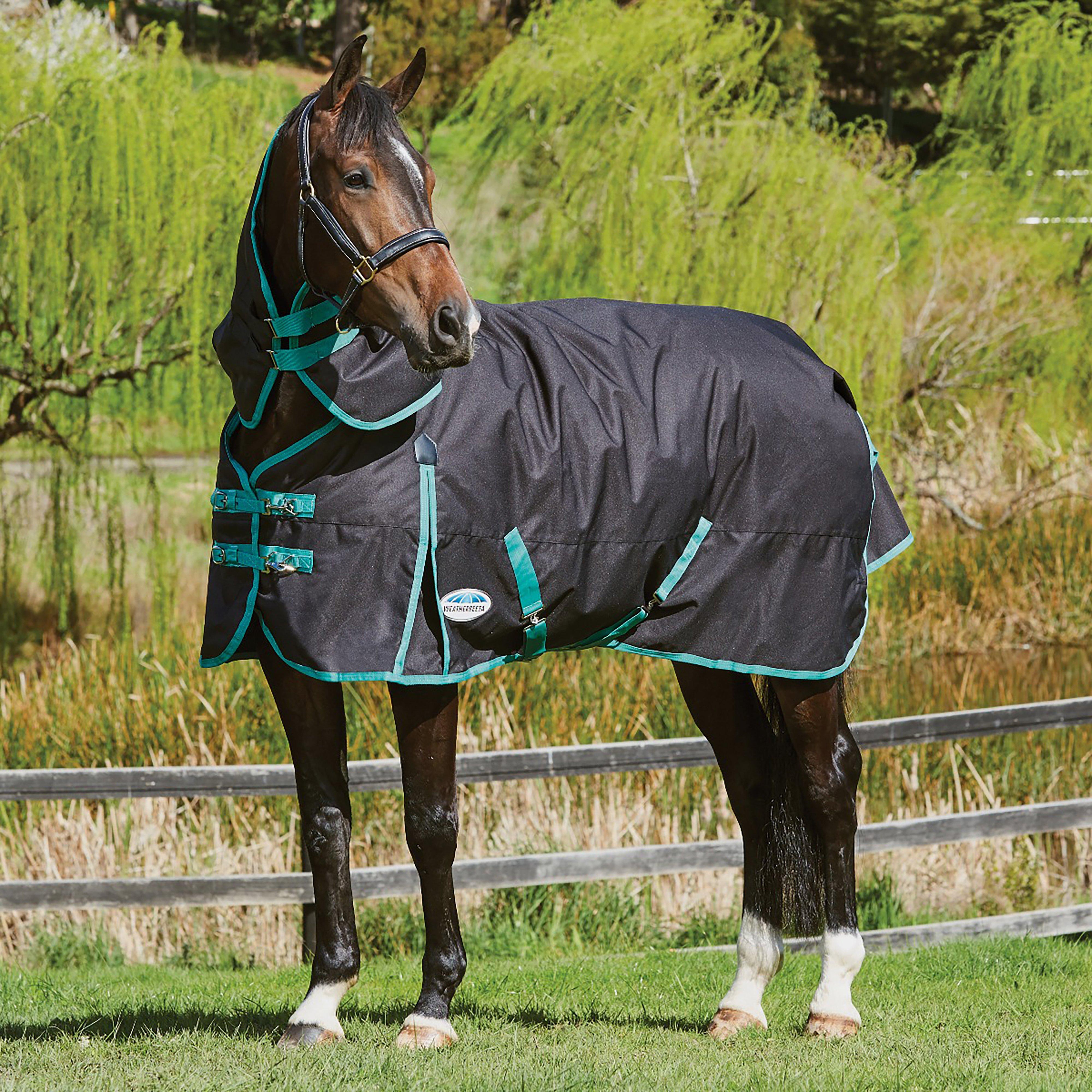 Green-Tec 900D 220g Medium Weight Detach-A-Neck Turnout Rug Black/Bottle Green