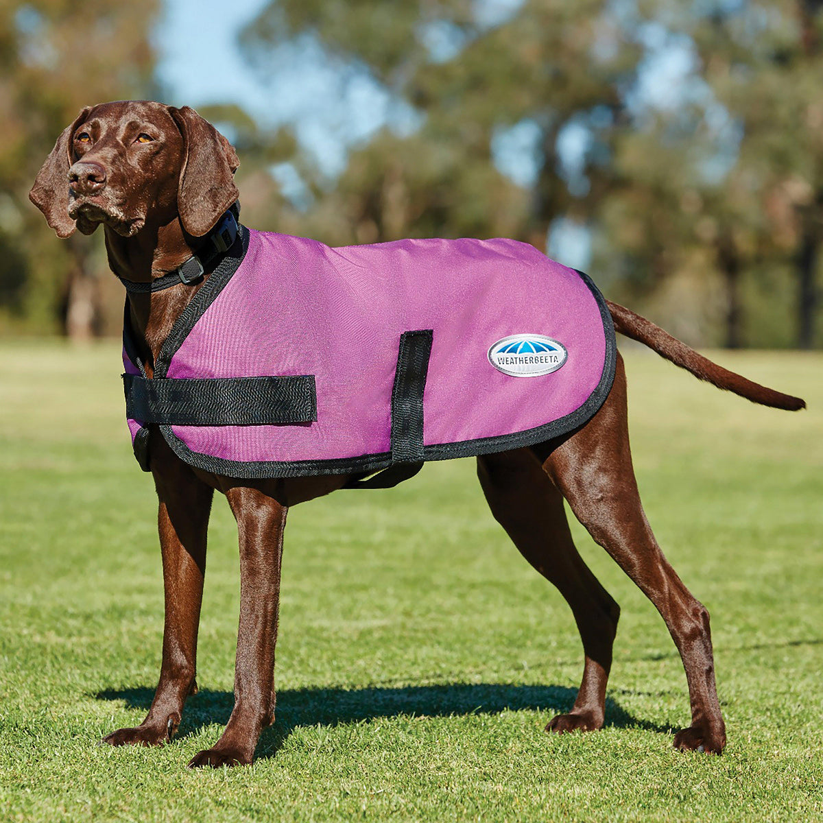 ComFiTec Classic 100g Lightweight Dog Coat Pink