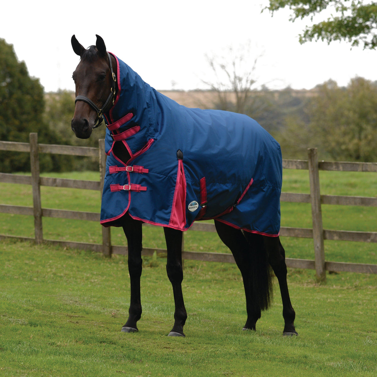 ComFiTec Classic 220g Medium Weight Combo Turnout Rug Blueberry/Pink