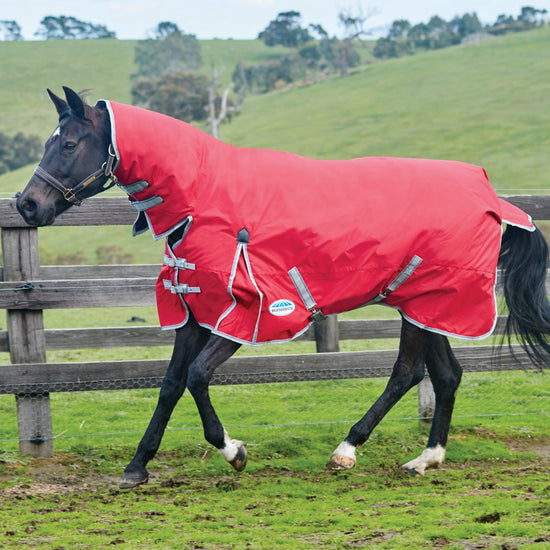 ComFiTec Classic 100g Medium/Lite Weight Combo Turnout Rug Red/Silver/Navy