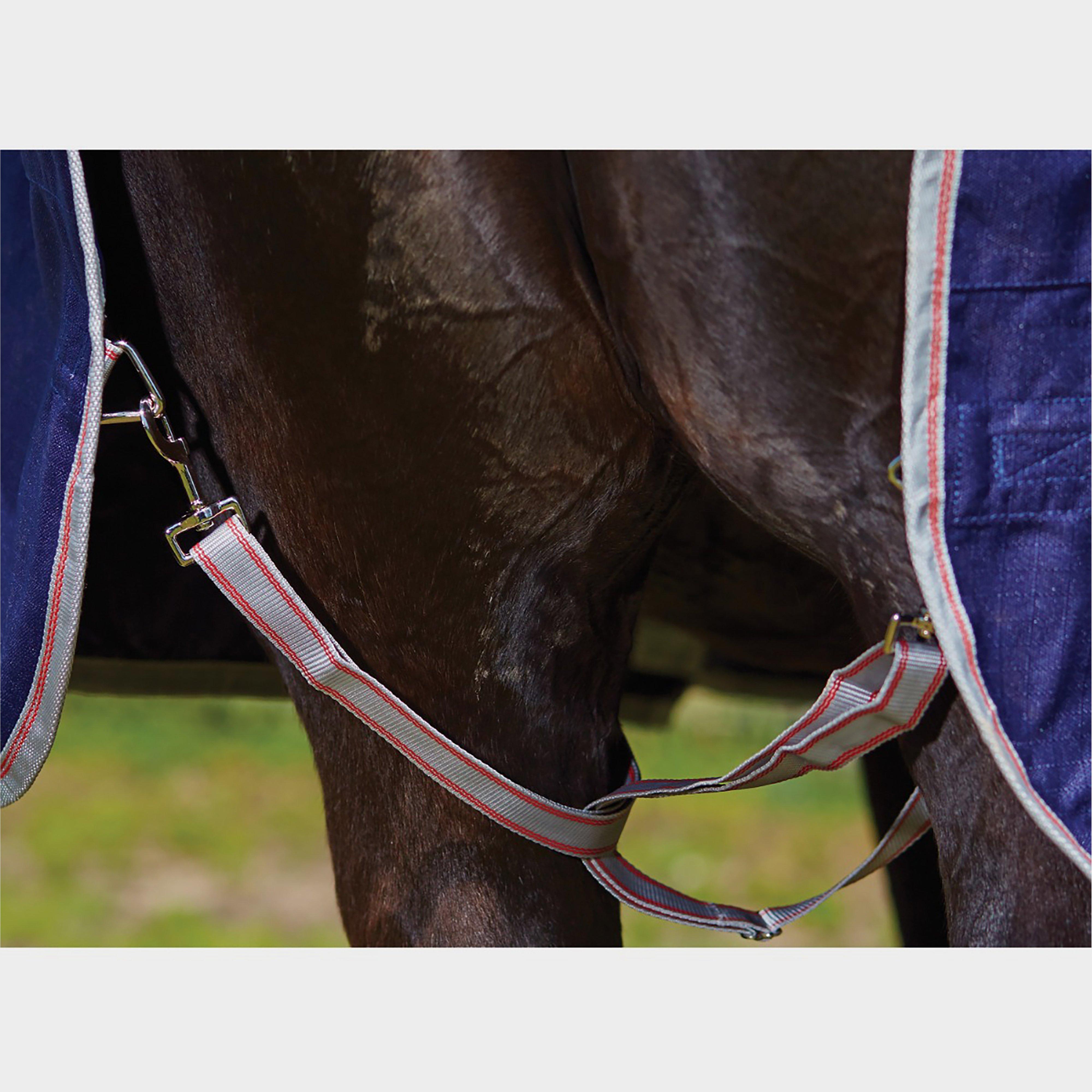 ComFiTec Classic 100g Medium/Lite Weight Combo Turnout Rug Red/Silver/Navy