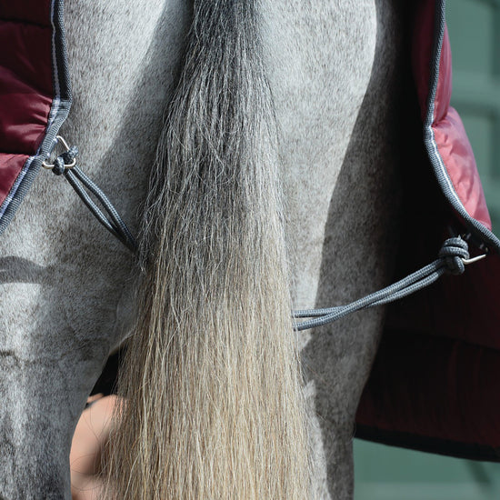 ComFiTec 210D Channel Quilt 400g Heavy Weight Combo Neck Stable Rug Maroon/Grey/White