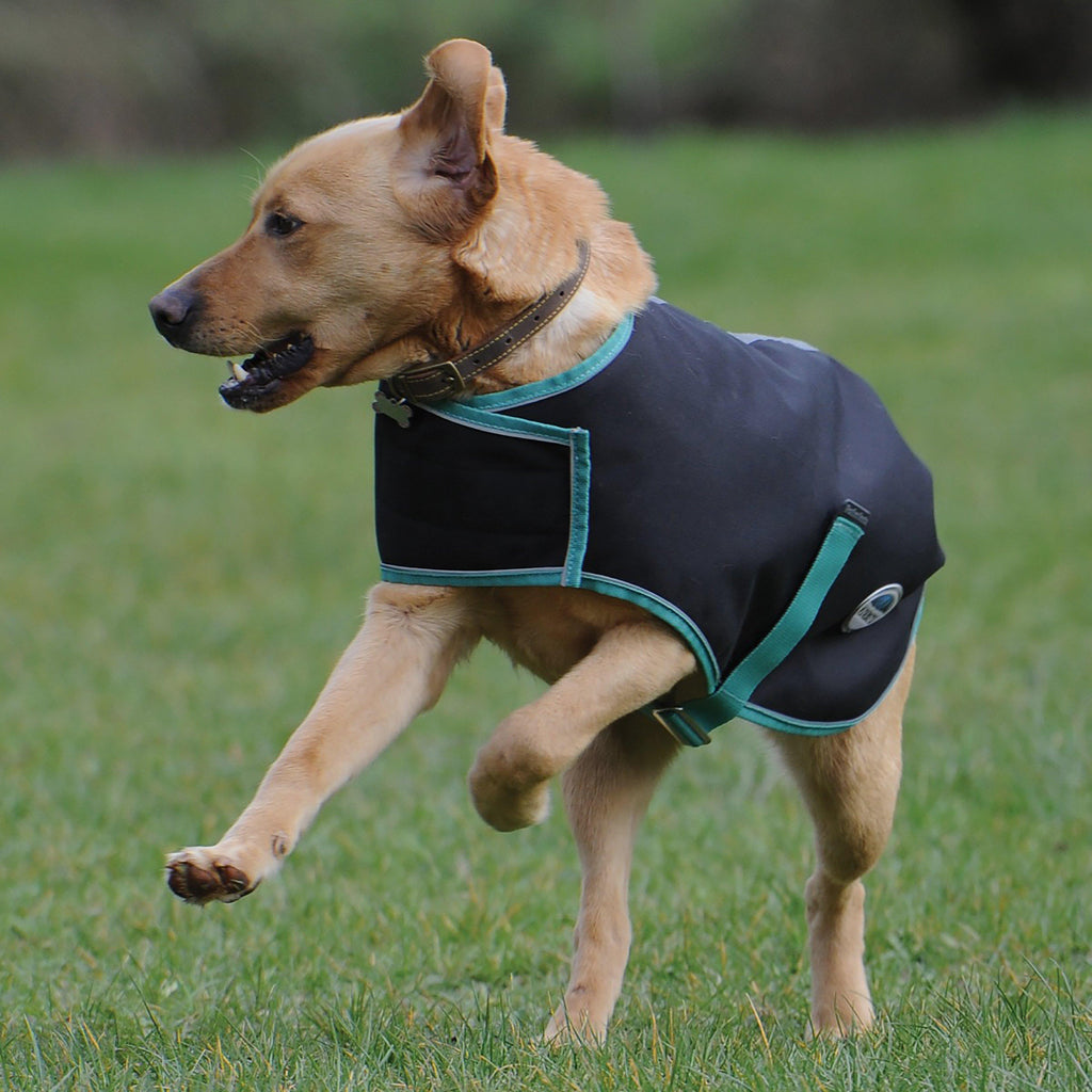 Green-Tec 900D 50g Lightweight Plus Dog Coat Black/Bottle Green